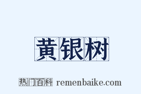 黄银树是什么意思的图片